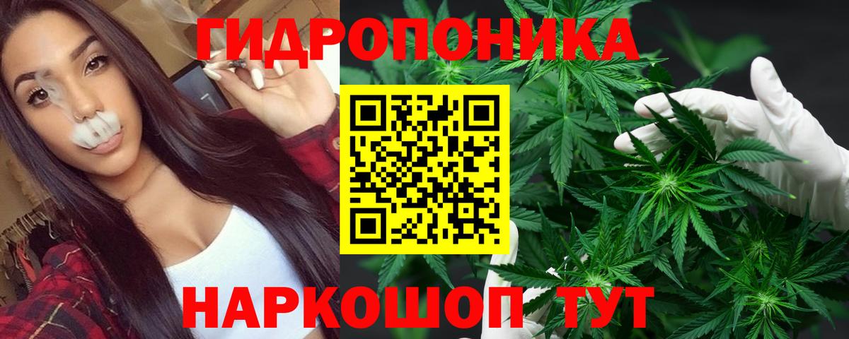 Конопля план Гагарин
